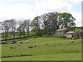 Pastures near New Meadows Farm