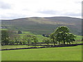 Pastures below Low Crooked Well