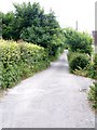 Footpath, Morcombelake