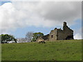 Another ruin above Westgate (2)