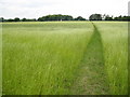 Patney: Footpath near Home Farm