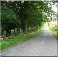 Country road at Hawthornside