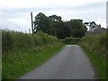 Country road at Whitriggs Farm