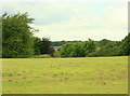 2009 : Pasture north west of Grove Lane