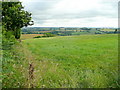 Grassland east of Llangrove