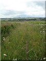 The overgrown track to Housley