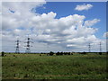 TQ7174 : Pylons near Barrow Hill, Higham Marshes by Chris Whippet