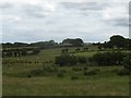 View across the reclaimed marsh to Glan Gors Farm