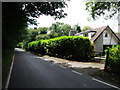 Pear Tree Lane, near Shorne