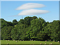 Lenticular clouds over the Eden Valley