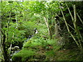 Waterfalls on the Afon Clochnant