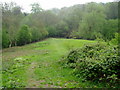 Approaching Easthams Coppice