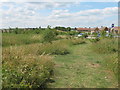 Footpath in Thistle Hill Community Woodland