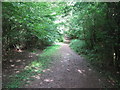 Bridleway in Dene Park