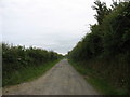 Farm road leading south to Ynys Fawr and Ynys Fach farms