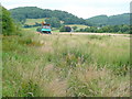 Grazing land east of Hereford Road, Monmouth