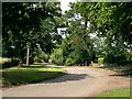 The road by Weston Hall