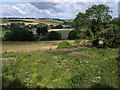 Outer bank, Old Sarum