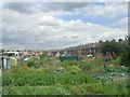 Allotments - Cross Lane