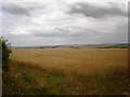 Panoramic view from North Cotes Road