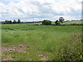 Rolling Countryside Near Quarry Farm