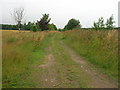 Footpath towards Potter Brompton