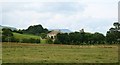 Rough pasture at Kilgram Grange