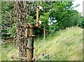 Old telegraph pole, Lisburn