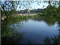 Reservoir by Westwood Country Park