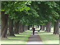 Path through Bush Hill Park