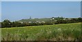 View across a flowery meadow towards Mynydd Parys mountain