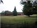 Trees in Allen House Grounds