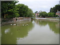 Urchfont Pond