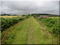 SE3342 : Leeds Country Way near Biggin Farm by Chris Heaton