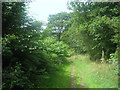 Bridleway over Wike Ridge