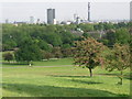 Primrose Hill, another view from