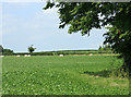 2009 : Field west of Kington Lane