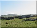 A large stone sheep fold south of Carmel Head