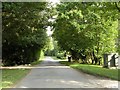 TL8355 : Part of Tuffields Road near Bevan's Farm by Robert Edwards
