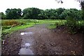 Field near Cothill