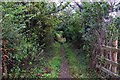 Footpath to Parsonage Moor