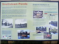 TL1313 : Sign describing the Southdown Ponds by Geographer