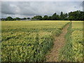 West Grafton: Footpath from East Grafton