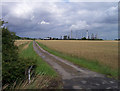 Track to Westfield Farm, North Killingholme