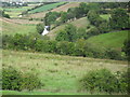 Fields rolling down to River Lagan