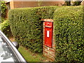 Marnhull: postbox № DT10 44, Pleck