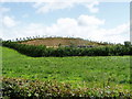 Tullyhenan Quarries being landscaped