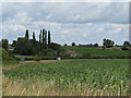 View back to the eastern edge of Bignor