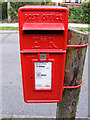 TM3863 : Saxon Road Postbox by Geographer