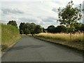 The road to Denston from Wickham Street